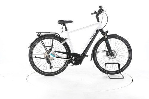 Pegasus premio evo lite - 10,