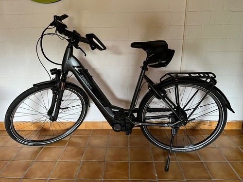 Bike elektrofahrrad marke - e-bike-elektrofahrrad,